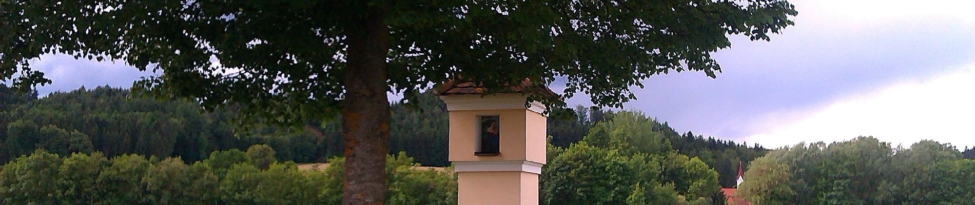 Randonnée A pied Mitterdorf an der Raab - Wanderweg 12 - Photo