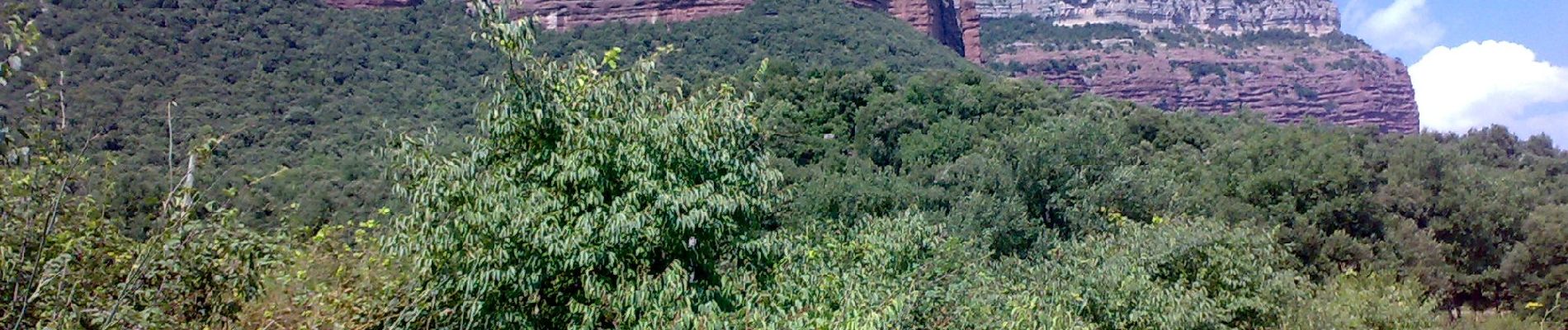 Percorso A piedi Vilanova de Sau - Ruta de les carboneres - Photo