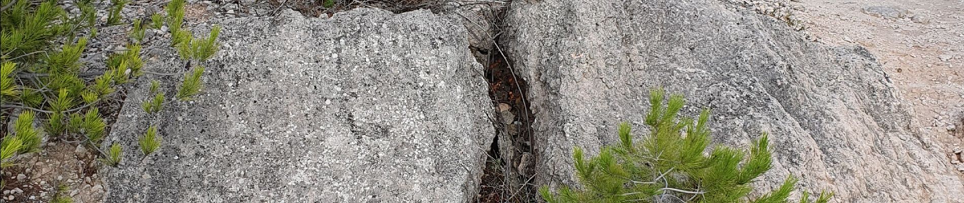 Excursión Senderismo Martigues - les carrières de La Couronne  - Photo