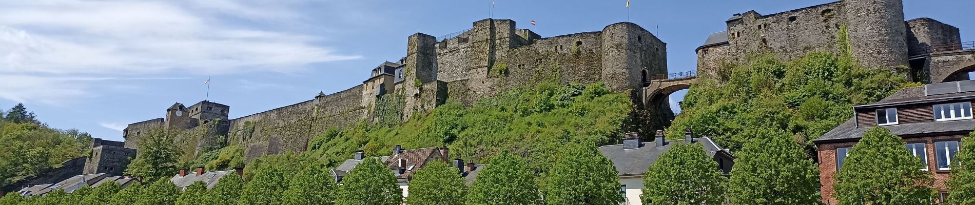 Tour Wandern Illy - départ d'Olly, arrivée au milieu de la forêt domaniale de Sedan, Ardennes - Photo