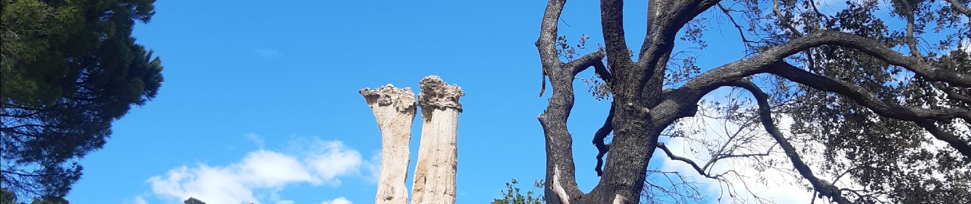 Tocht Stappen Ille-sur-Têt - les Orgues - Ille-sur-Tet - Photo