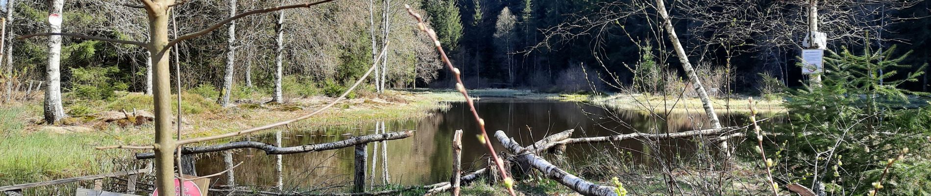 Trail Walking Sapois - Haut du Tot - Photo