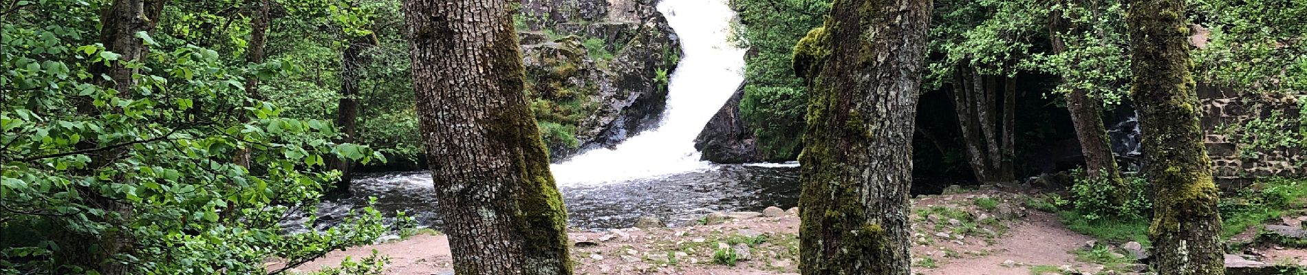 Trail Walking Gouloux - Saut du Gouloux - Photo