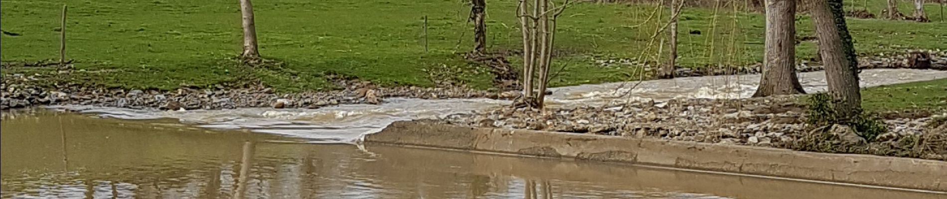 Randonnée Marche Chemillé-en-Anjou - Chanzeaux - Photo