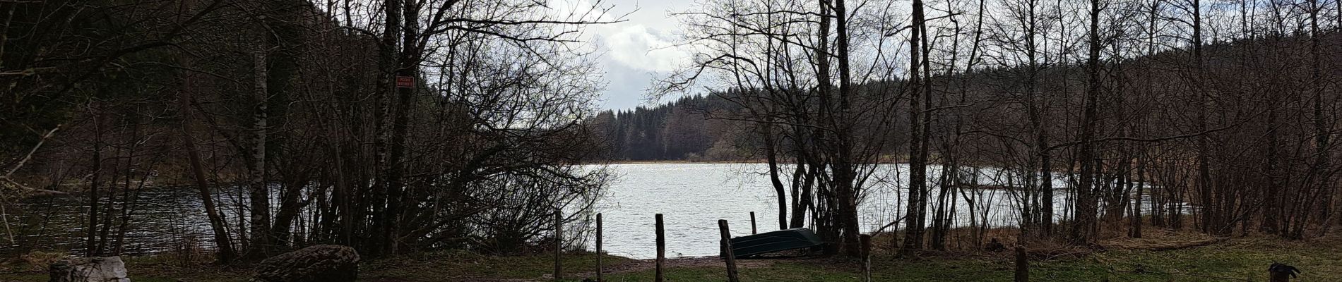 Trail Walking Le Frasnois - Le Frasnois - Tour des lacs - Photo