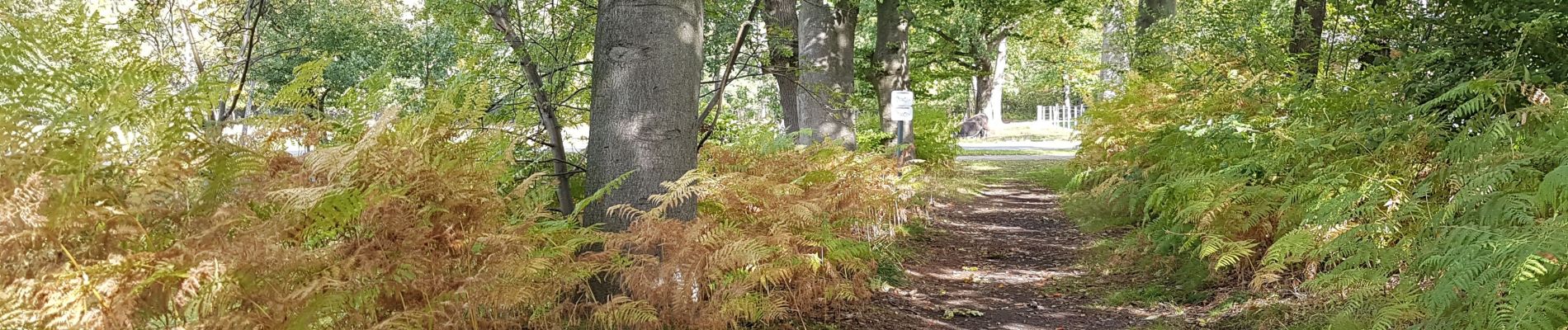 Randonnée Marche Diepenbeek - Diepenbeek - Photo