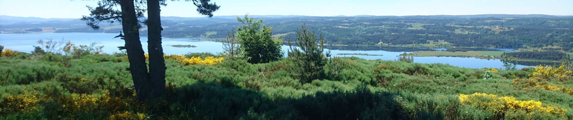 Percorso Marcia Naussac-Fontanes - 210614 - Les Balcons du Lac - Photo