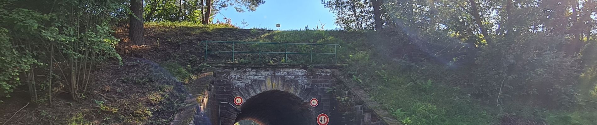 Tocht Stappen Wingen-sur-Moder - La Pierre des 12 Apôtres - Photo