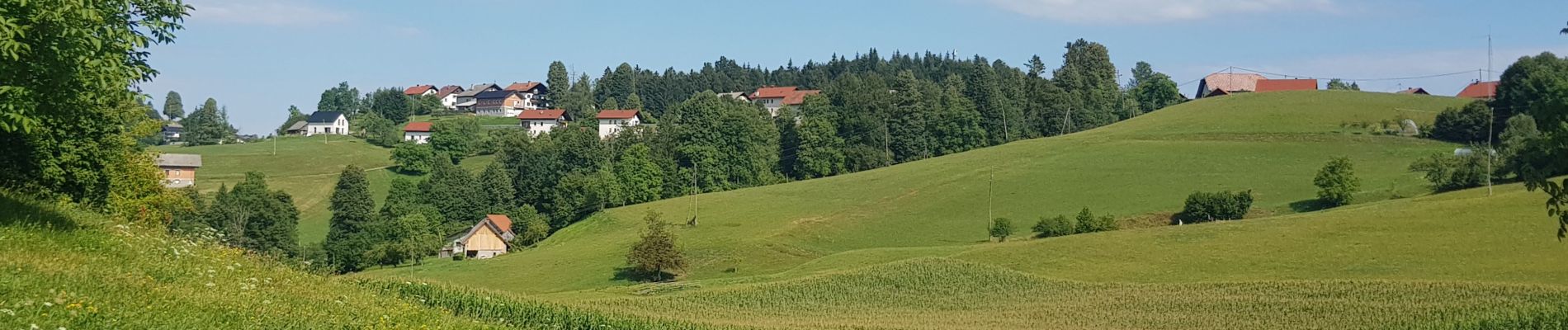 Excursión Senderismo Logatec - Rovte, Rovte, Slovenija - Photo