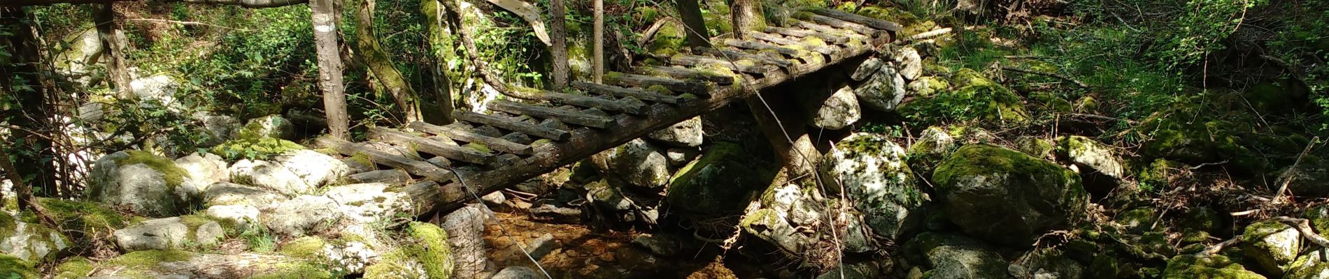 Randonnée Marche Thueyts - Thueyts-Passerelle de Luzet-Champfagot-Barnas  - Photo