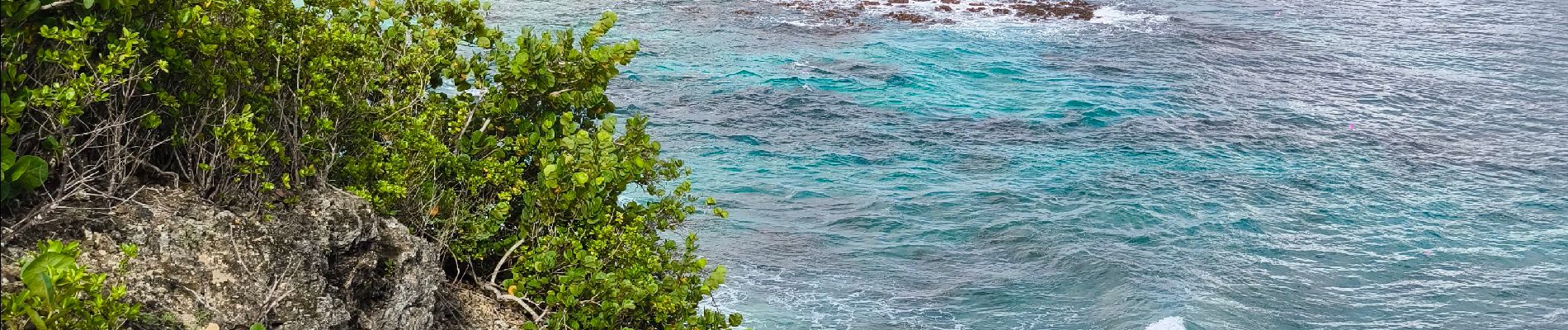 Randonnée Marche Anse-Bertrand - Guadeloupe - Pointe de la Petite Vigie à Pointe de la Grande Vigie - Photo