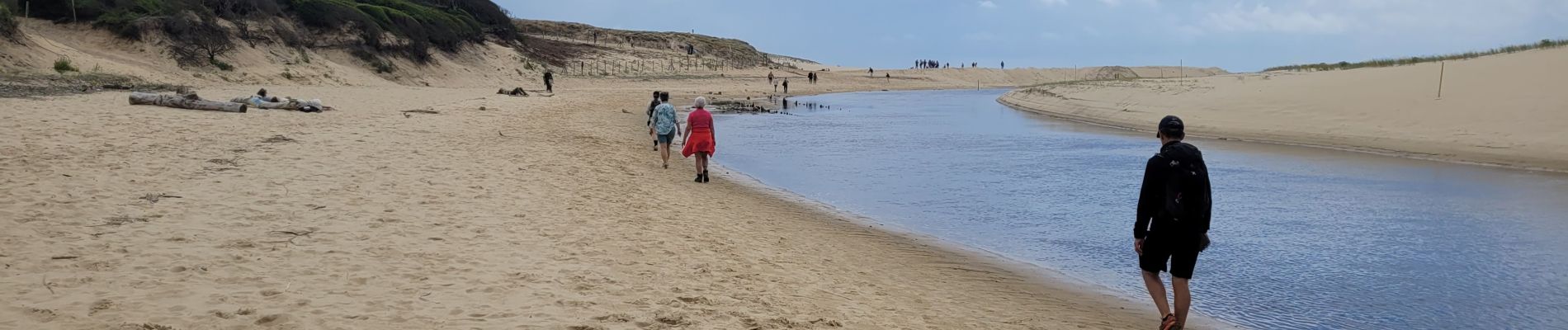 Tocht Stappen Moliets-et-Maâ - balade dans les pins avec vue sur dune - Photo