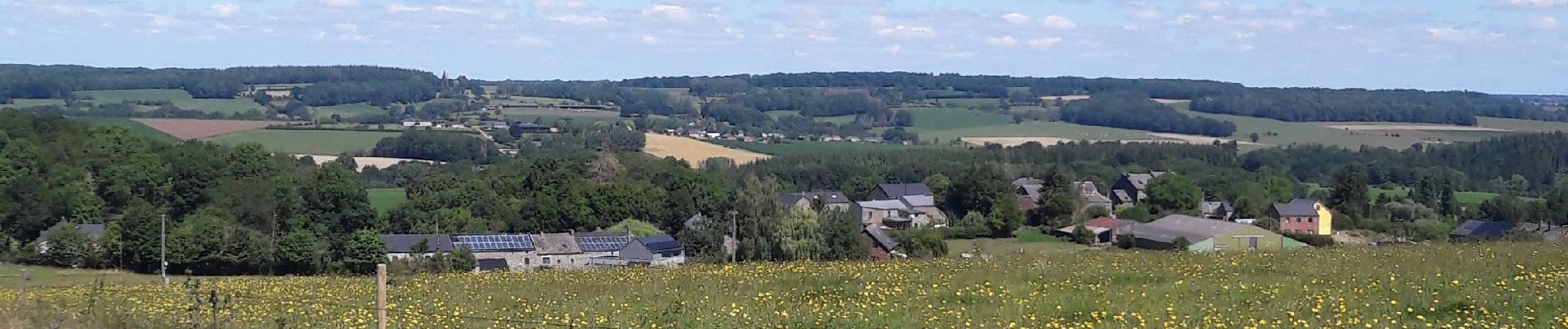 Randonnée Marche Durbuy - borlon _ durbuy  ( calme des bois et campagnes , traversée  d' une ville touristique......) - Photo