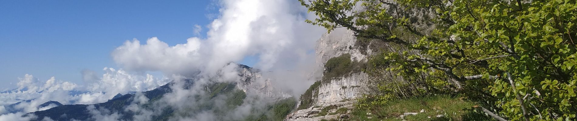 Excursión Senderismo Fontaine - Entre Château Bouvier et Moucherotte  - Photo