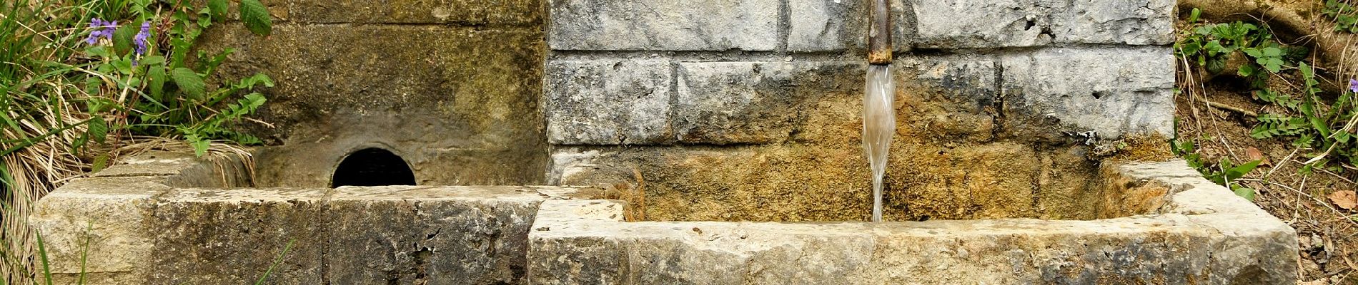 Percorso A piedi Mössingen - Zugangsweg - Mössingen - Weg-4 - Abzweigung von Weg 5 in Mössingen - Farrenberg Bismarckskapf - Abzweigung Ruine Andeck - Photo