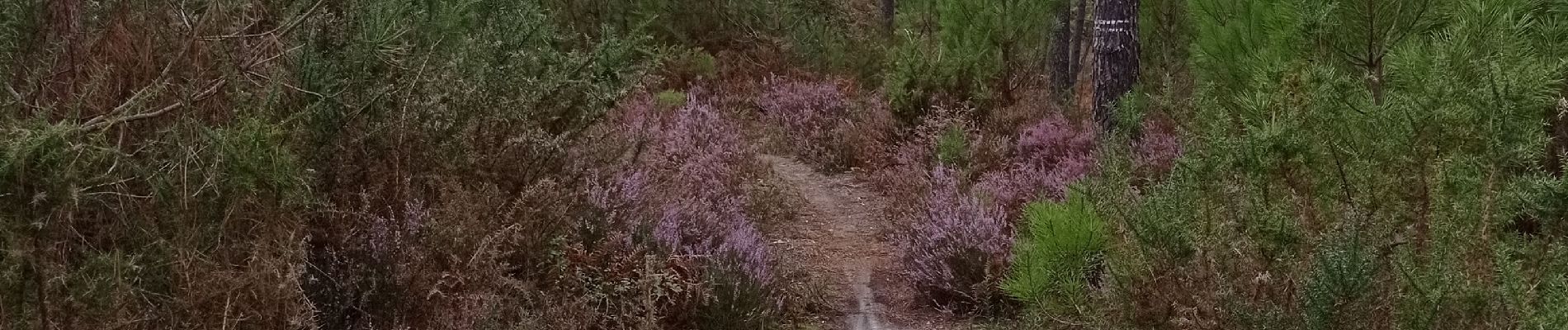 Trail Walking Pontonx-sur-l'Adour - Randonnée famille Pontonx - Photo