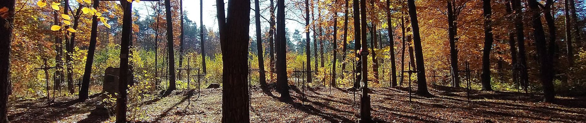 Trail On foot Paczółtowice - Krzeszowice - Dębnik - Photo