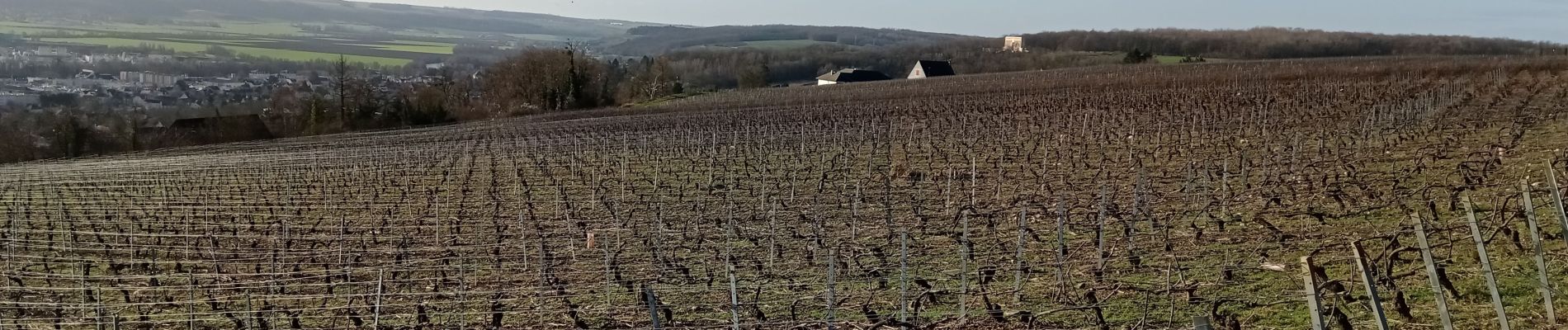 Randonnée Marche Château-Thierry - Les vignes Castelles - version 8 km - Photo