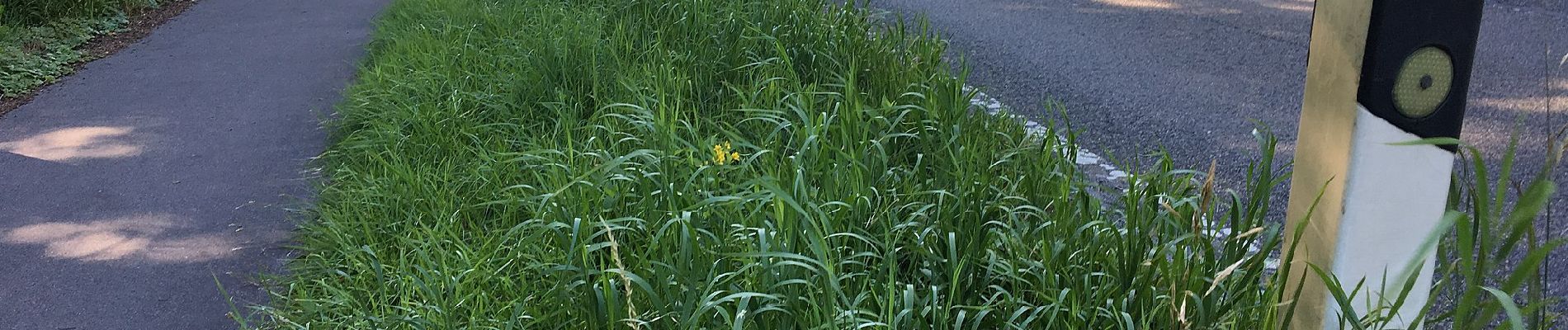 Tour Zu Fuß Unbekannt - [D] Düsseldorfer Weg - Photo