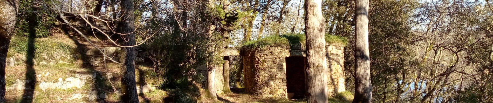 Tour Wandern Mauzac-et-Grand-Castang - Mauzac 12,7km - Photo