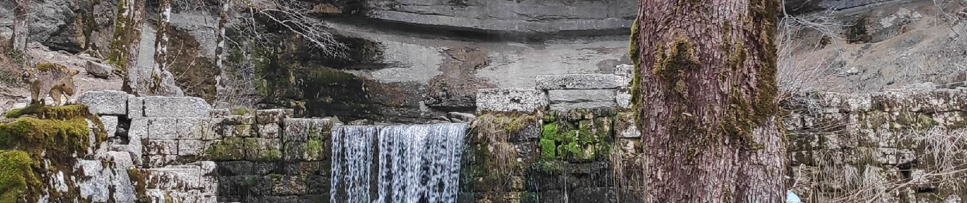 Excursión Senderismo La Chaux-du-Dombief - les cascades du Hérisson - Photo