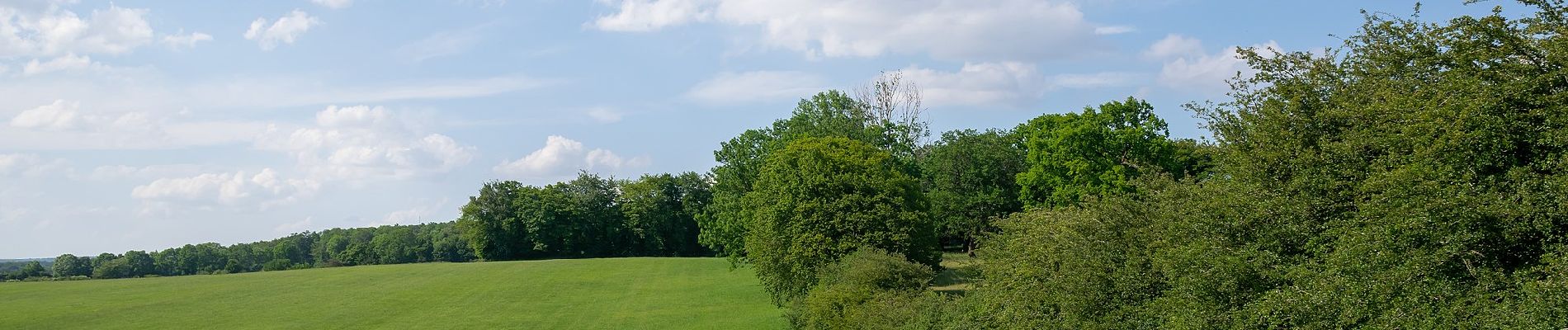 Percorso A piedi Schlangen - Rundwanderweg A1 [Kohlstädt] - Photo