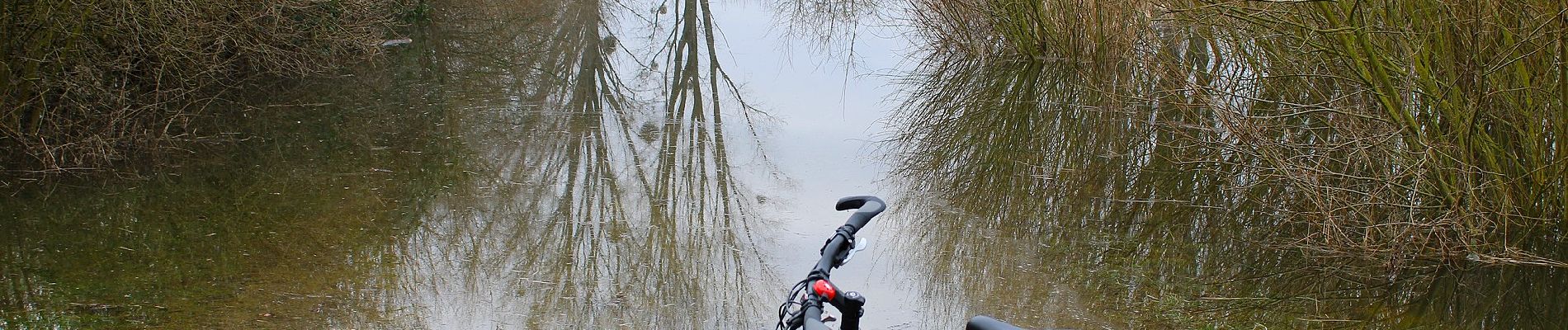 Excursión A pie Desconocido - Urdenbacher Kämpe - Durch die Obstwiesen zur Feuchtwiese - Photo