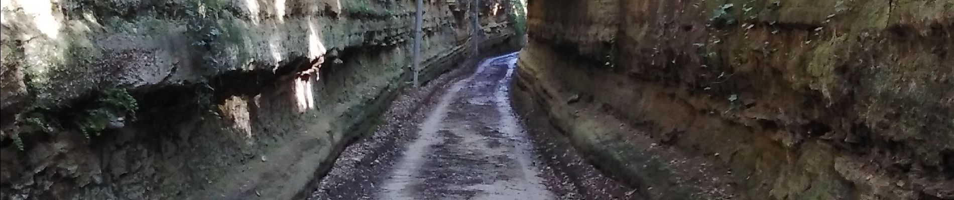 Tocht Stappen Carpentras - carpentras la legue - Photo