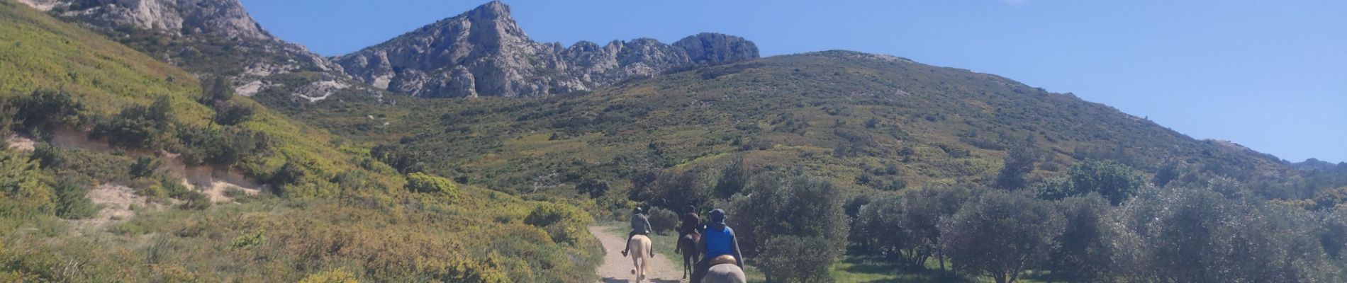 Randonnée Randonnée équestre Eygalières - 2019-04-29 Rando CVA Alpilles La Sarriette Ranch Petit Roman - Photo