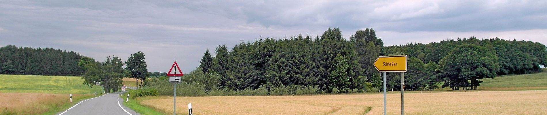 Randonnée A pied Bobritzsch-Hilbersdorf - Rundweg Gemeindewald - Photo