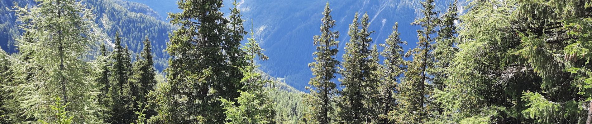 Tour Wandern Bourg-Saint-Maurice - les arcs -> valandry - Photo