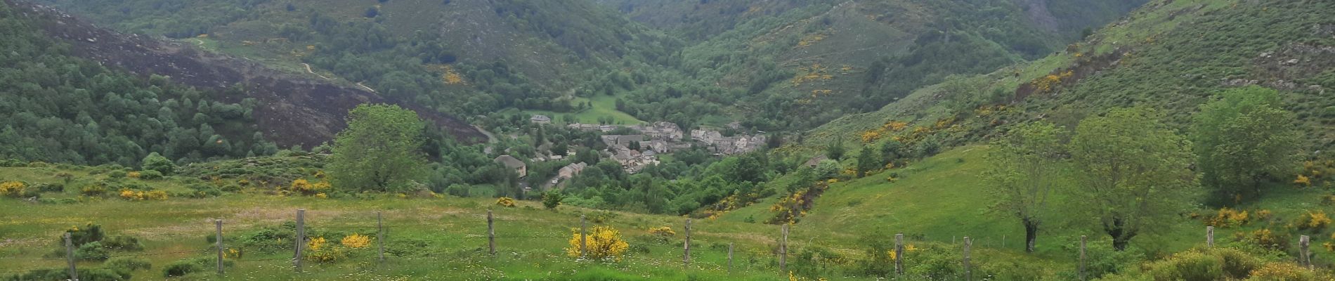 Tour Wandern Cubières - station Mont Lozère - Pont Monvert - Photo