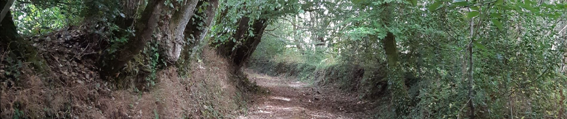 Percorso Marcia Plounérin - Tro Lann Droënn - Photo