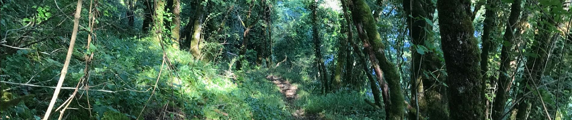 Tour Wandern Pinsac - Bastit Dordogne bord - Photo