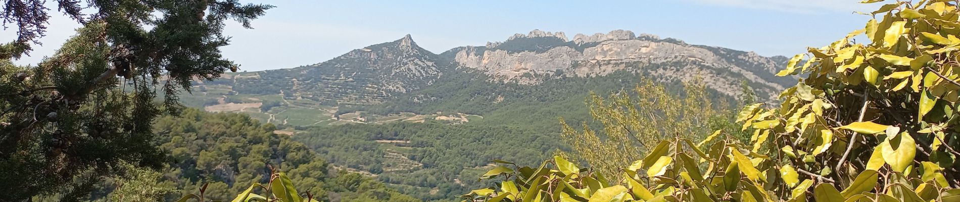 Randonnée Marche La Roque-Alric - Le Carabelle 520m - Photo