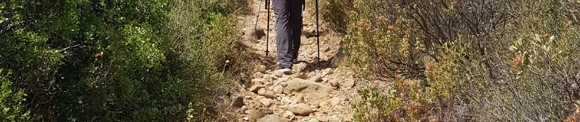 Trail Walking La Ciotat - 2019 06 24 Grotte Terrevaine Baou Rous - Photo