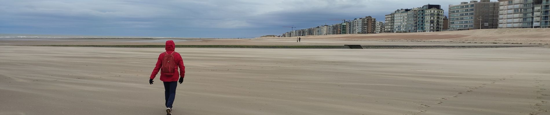 Excursión Senderismo Koksijde - Strandwandeling Sint-Idesbald - Koksijde - Photo