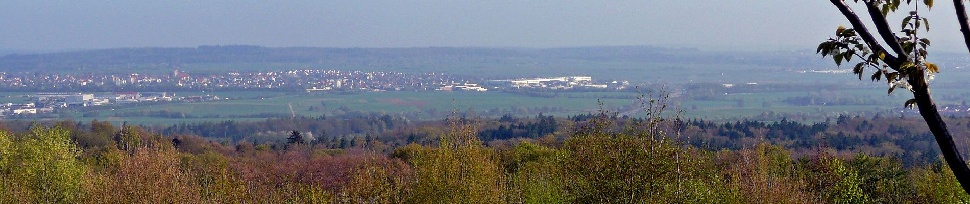 Tocht Te voet Herrenberg - Blauer Punkt, Herrenberg - Bebenhausen - Photo