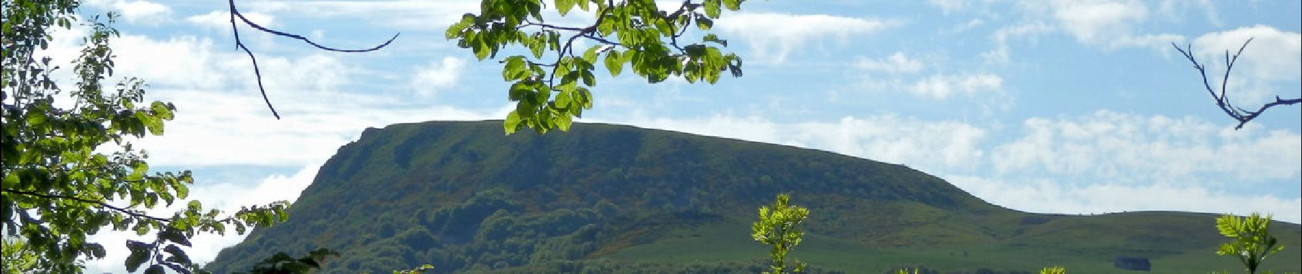 Trail Walking Mont-Dore - Mont_Dore_Puy_Gros_2 - Photo