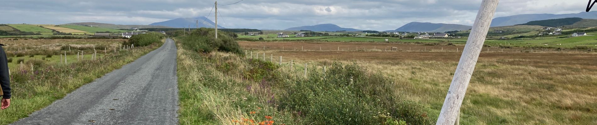 Tour Wandern Westport-Belmullet Municipal District - Killadoon beach loop - Photo