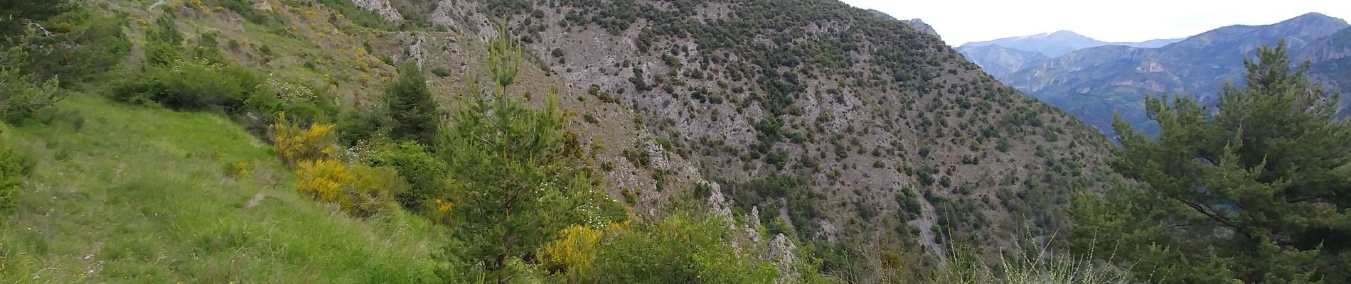 Trail Walking Fontan - fontan ceva - Photo