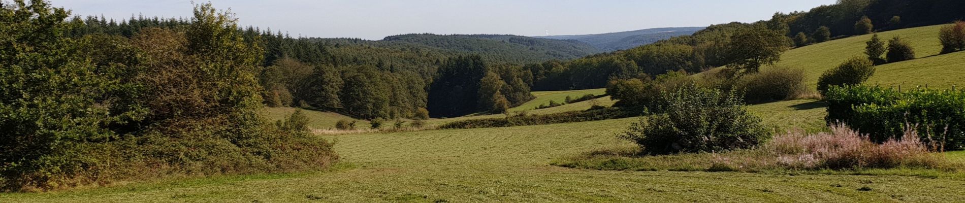 Excursión Senderismo Couvin - Marche Adeps á Presgaux - Photo