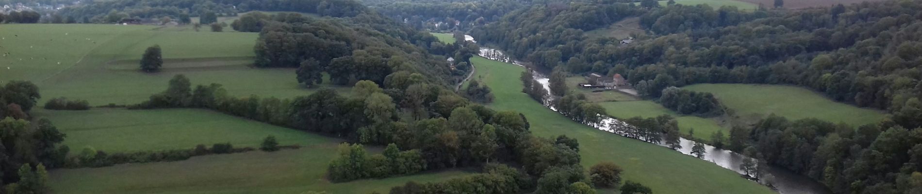 Excursión Senderismo Esneux - La roche aux faucons - Tilf - Bois du Sart Tilman - Photo