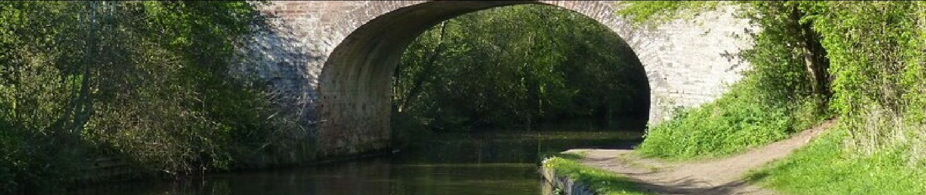 Tocht Te voet Wychavon - Hanbury Circular Walk - Photo