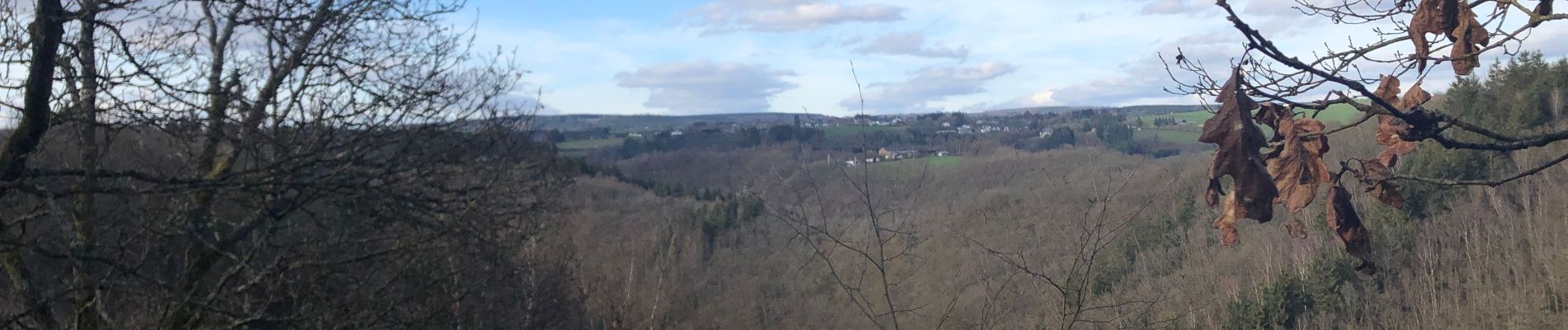 Tocht Stappen Houffalize - Tour du Barrage + - Photo