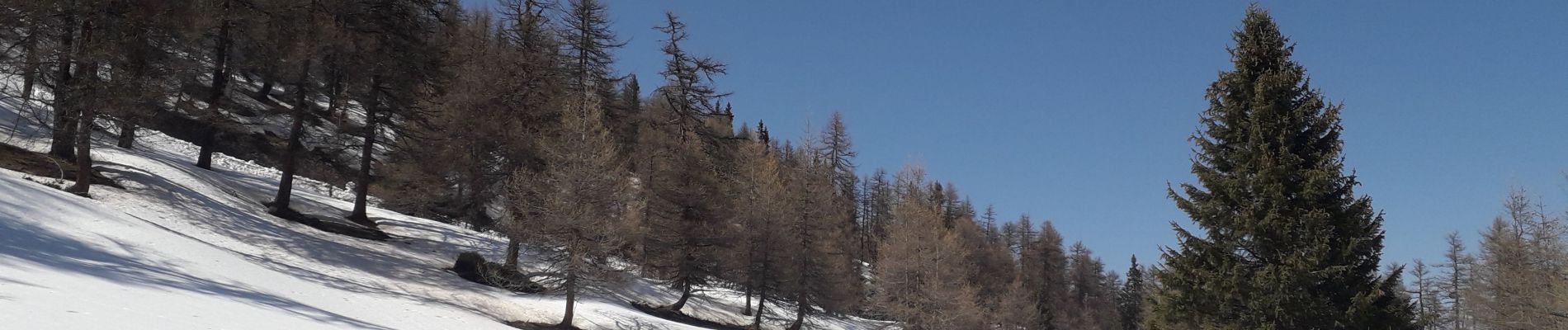 Tocht Sneeuwschoenen Montricher-Albanne - Albanne - les Arpons - Photo