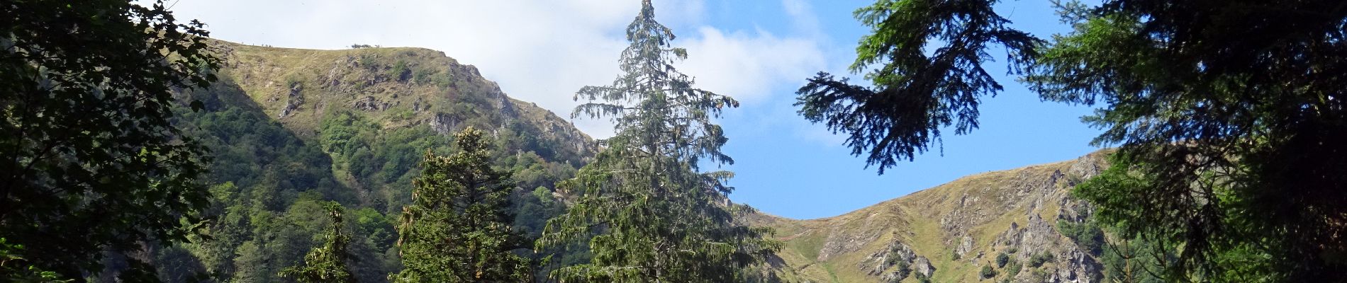 Tocht Paardrijden Stosswihr - 2018-08-26 Picnic CVA Cascades Stosswihr - Photo