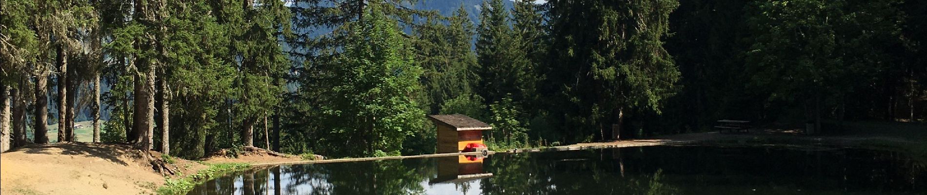 Trail Walking Praz-sur-Arly - Lac les evettes - Photo