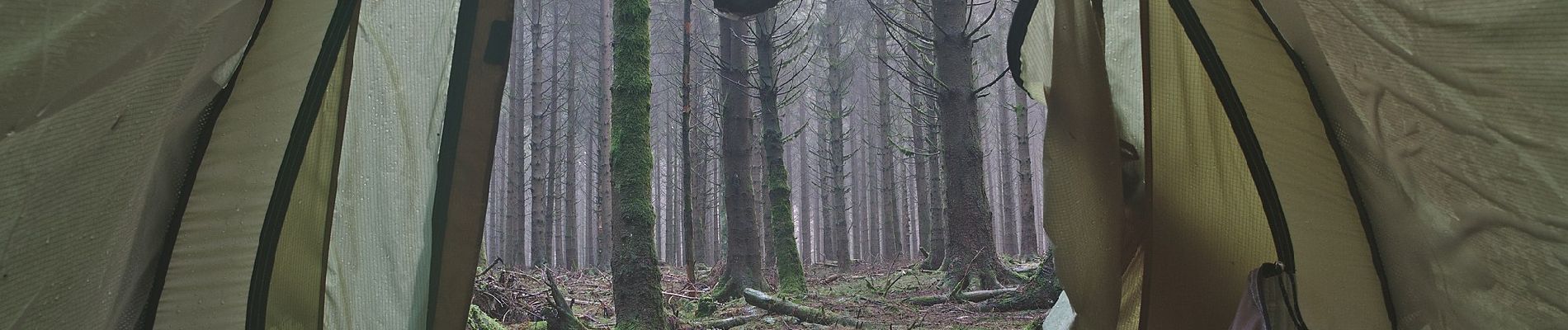 Tocht Te voet Stavelot - 17. Le Ru de Targnon - Photo