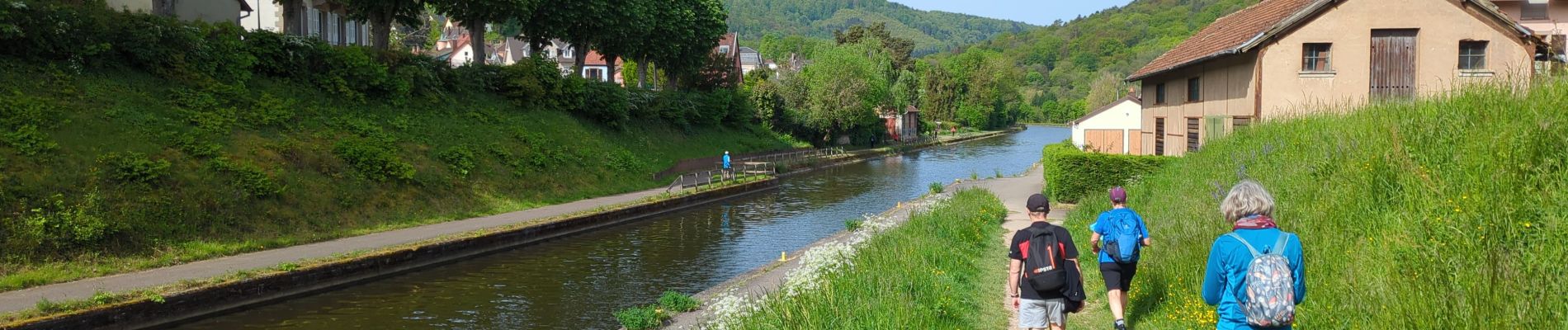 Randonnée Marche Saverne - Saverne et ses châteaux  - Photo